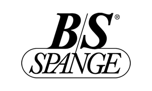 BS